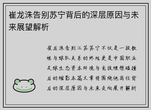 崔龙洙告别苏宁背后的深层原因与未来展望解析