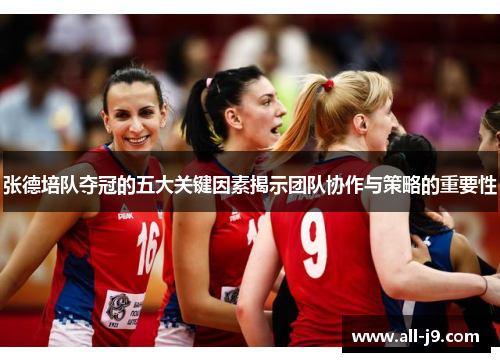张德培队夺冠的五大关键因素揭示团队协作与策略的重要性