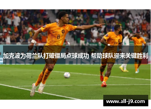 加克波为荷兰队打破僵局点球成功 帮助球队迎来关键胜利 加克波为荷兰队打破僵局点球成功 帮助球队迎来关键胜利