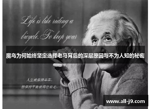 魔鸟为何始终坚定选择老马背后的深层原因与不为人知的秘密
