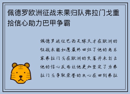 佩德罗欧洲征战未果归队弗拉门戈重拾信心助力巴甲争霸