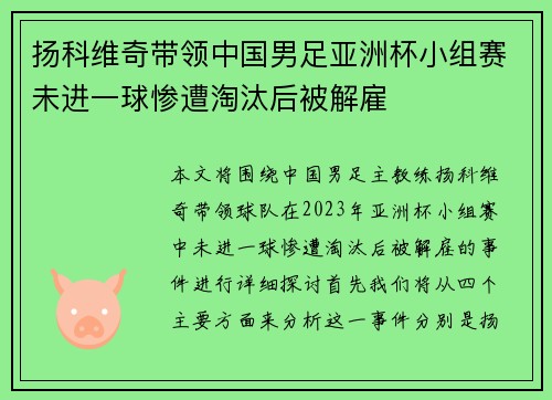 扬科维奇带领中国男足亚洲杯小组赛未进一球惨遭淘汰后被解雇